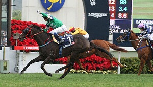 Glorious Days HK Mile